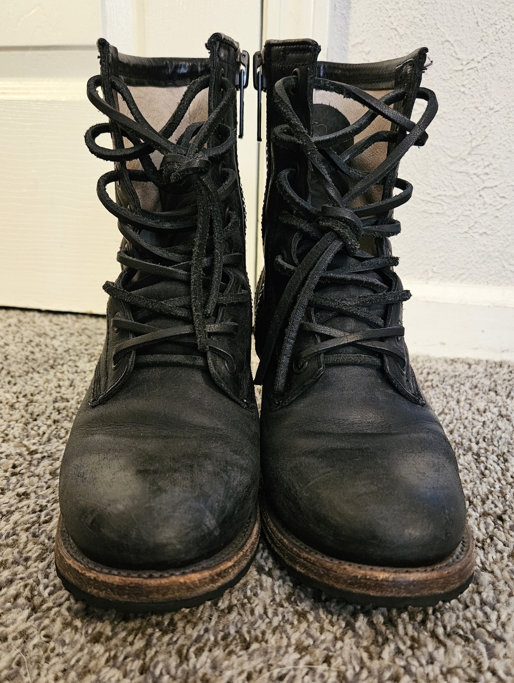 Freebird by Steven - Cavalier size 7